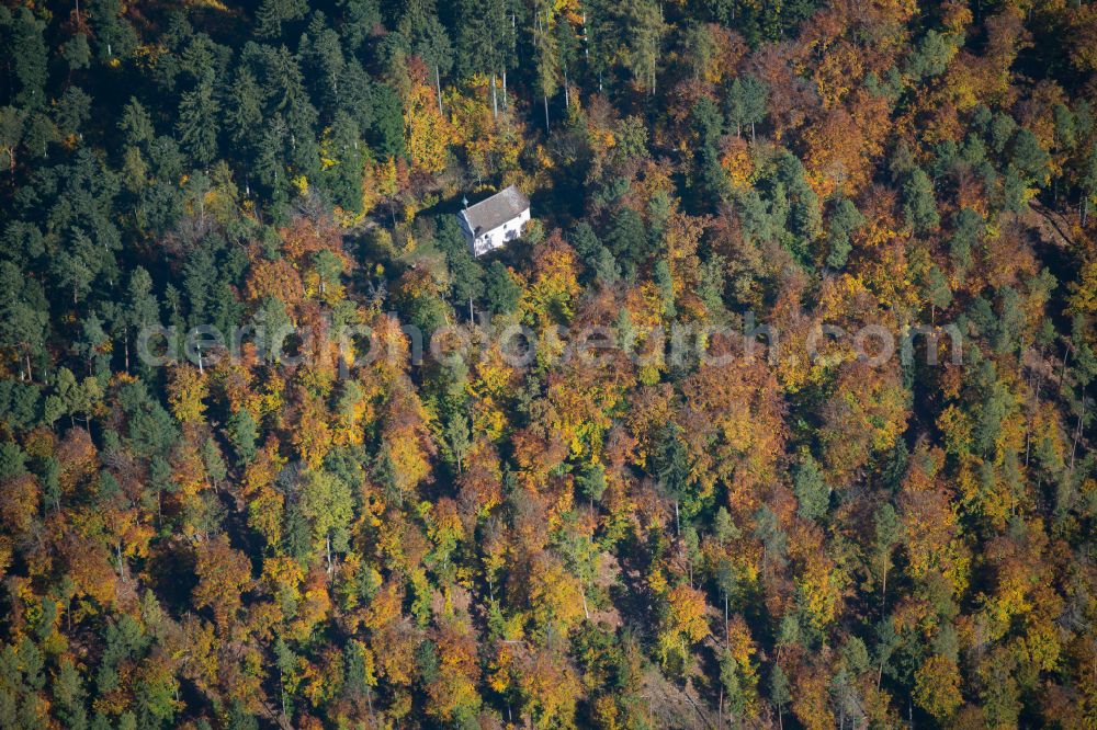 Aerial photograph Schelklingen - Forest areas in in Schelklingen in the state Baden-Wuerttemberg, Germany