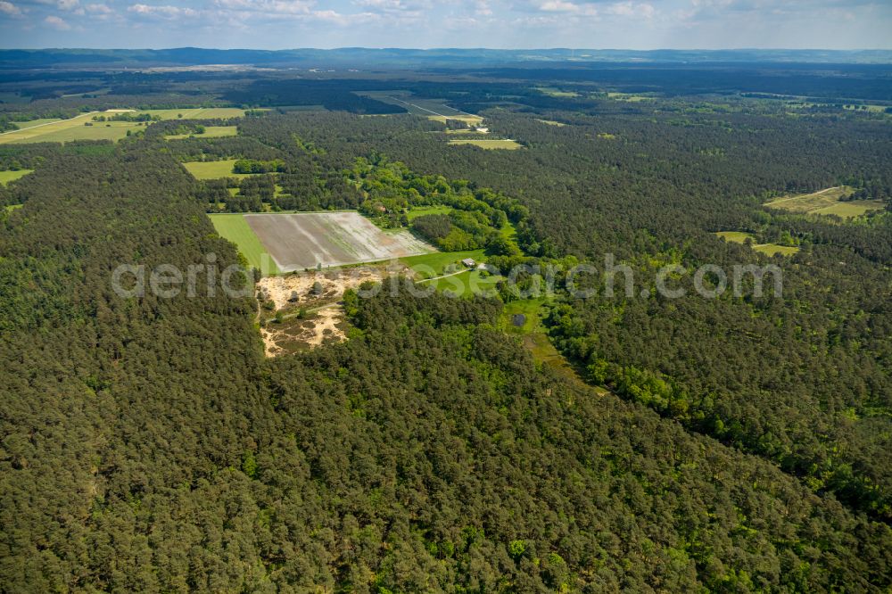 Schloß Holte-Stukenbrock from above - Forest areas in in Schloß Holte-Stukenbrock in the state North Rhine-Westphalia, Germany