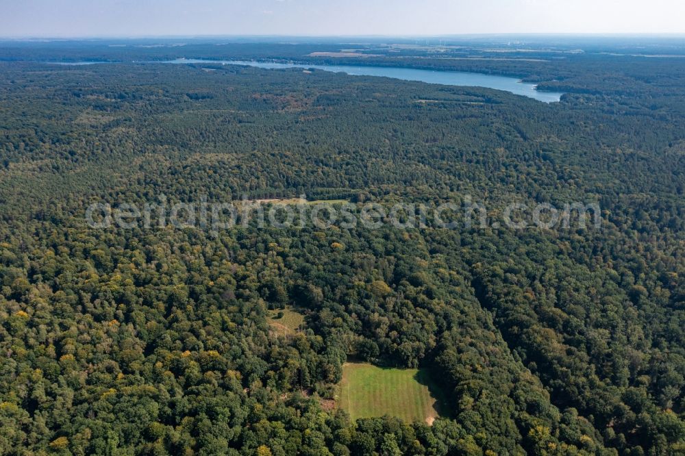 Schorfheide from the bird's eye view: Forest areas in the Schorfheide in Schorfheide at Schorfheide in the state Brandenburg, Germany