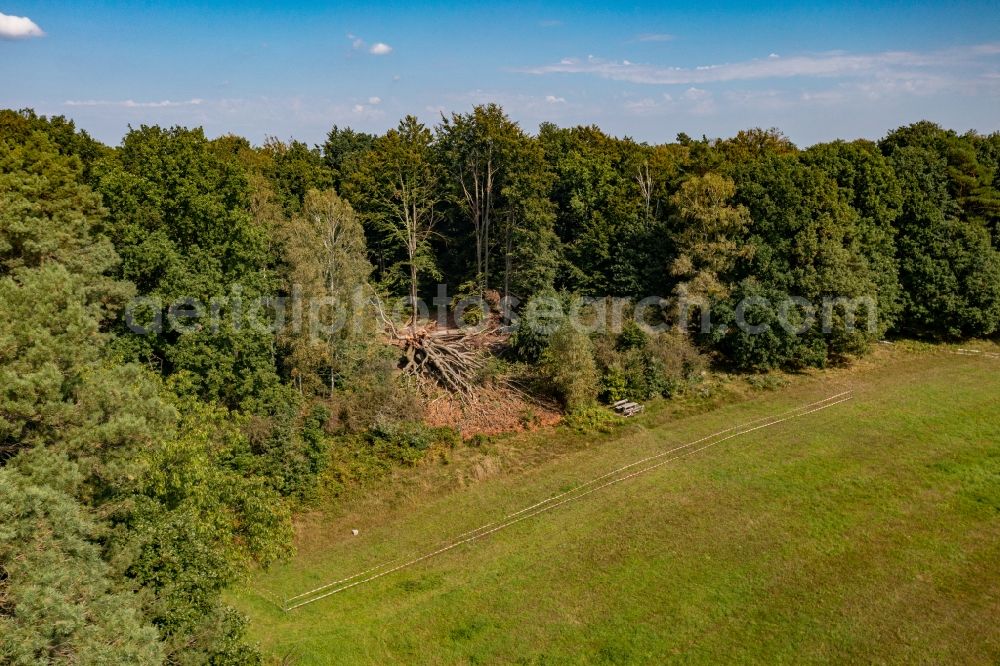 Schorfheide from the bird's eye view: Forest areas in the Schorfheide in Schorfheide at Schorfheide in the state Brandenburg, Germany