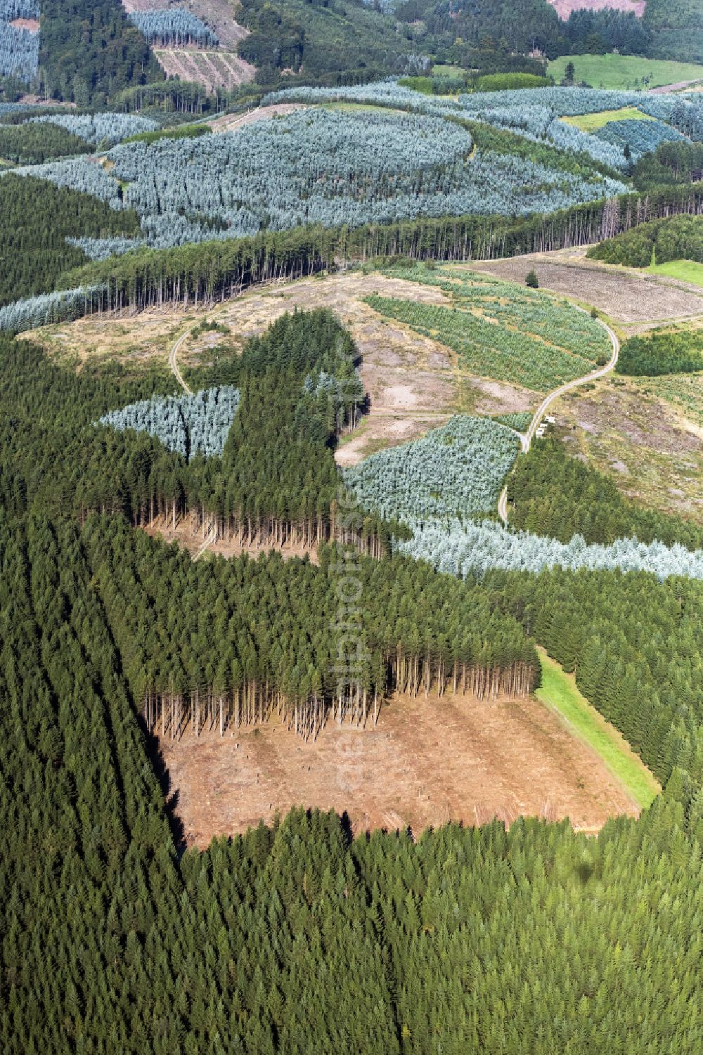 Aerial image Sundern (Sauerland) - Forest areas in in Sundern (Sauerland) at Sauerland in the state North Rhine-Westphalia, Germany