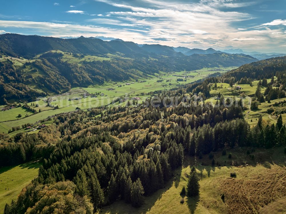 Konstanzer from the bird's eye view: Forest areas in in the valley and meadow landscape in Konstanzer Allgaeu in the state Bavaria, Germany