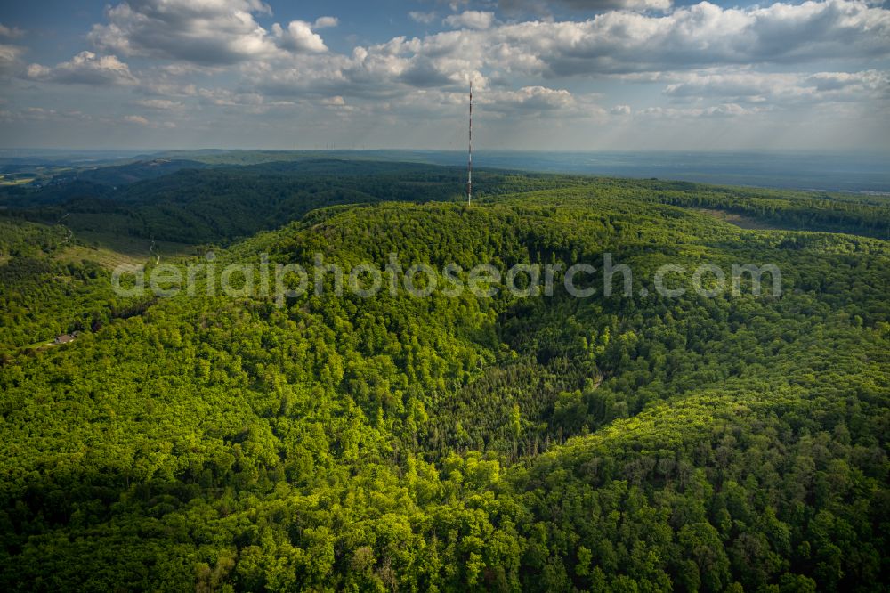 Aerial image Detmold - Forest areas in Teuteburger Wald on street Oberer Ochsentalweg in Detmold in the state North Rhine-Westphalia, Germany