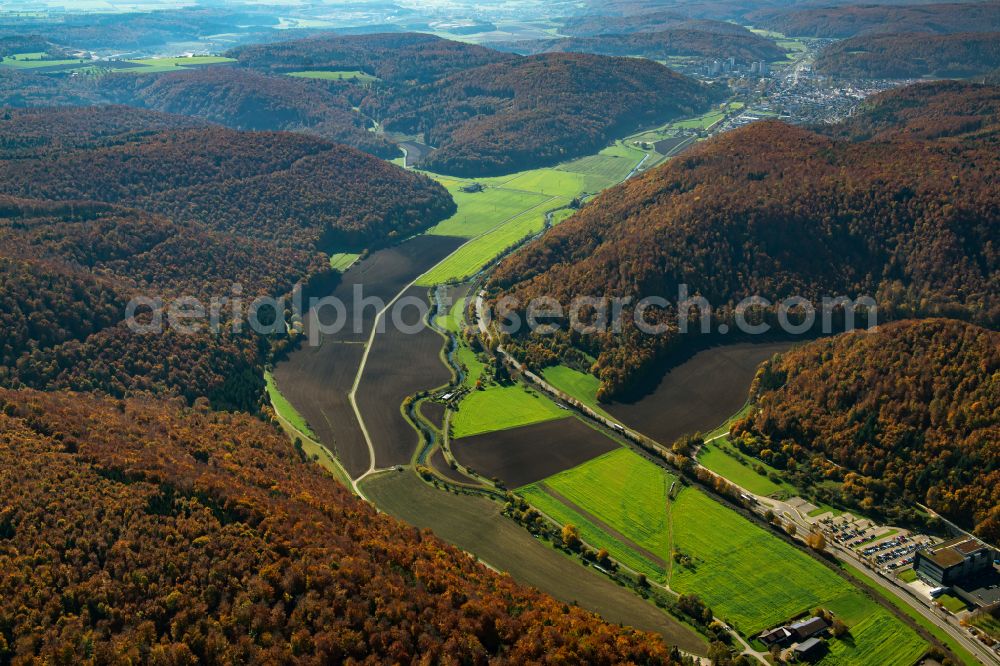 Aerial image Weiler - Forest areas in in Weiler in the state Baden-Wuerttemberg, Germany