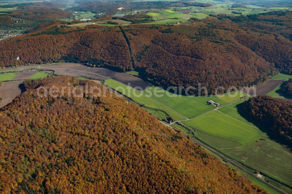 Weiler from above - Forest areas in in Weiler in the state Baden-Wuerttemberg, Germany