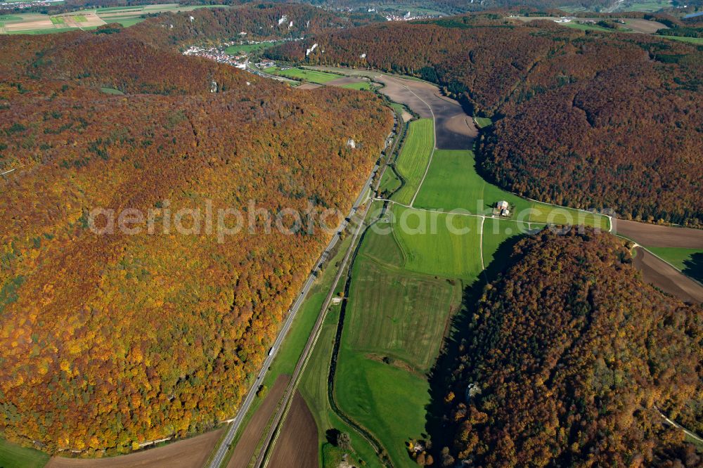 Weiler from the bird's eye view: Forest areas in in Weiler in the state Baden-Wuerttemberg, Germany