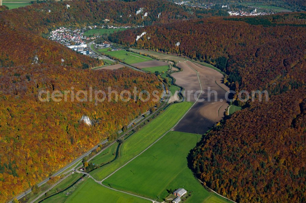 Aerial image Weiler - Forest areas in in Weiler in the state Baden-Wuerttemberg, Germany