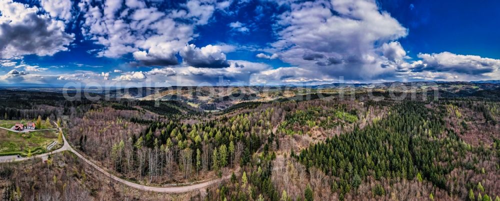 Aerial photograph Ettenheim - Forest areas in in westlichen Schwarzwald in Ettenheim in the state Baden-Wuerttemberg, Germany