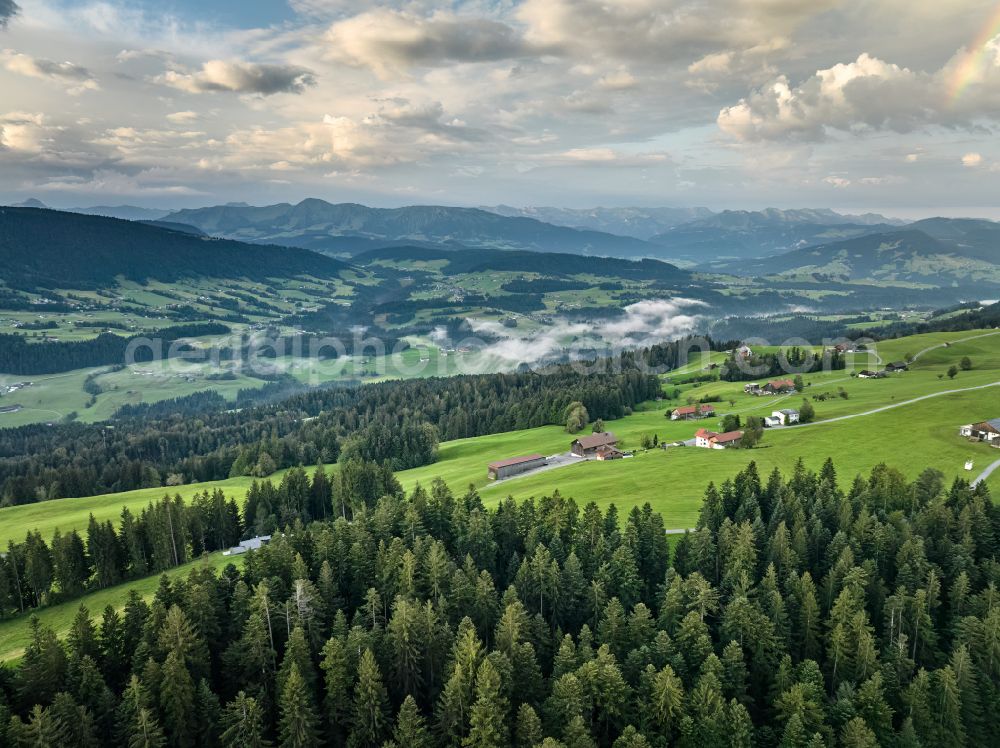 Aerial image Sulzberg - Forest areas in with meadow landscape on street Dorf in Sulzberg in Vorarlberg, Austria