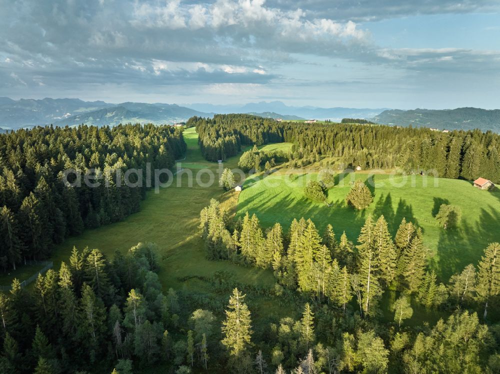 Sulzberg from the bird's eye view: Forest areas in with meadow landscape on street Dorf in Sulzberg in Vorarlberg, Austria