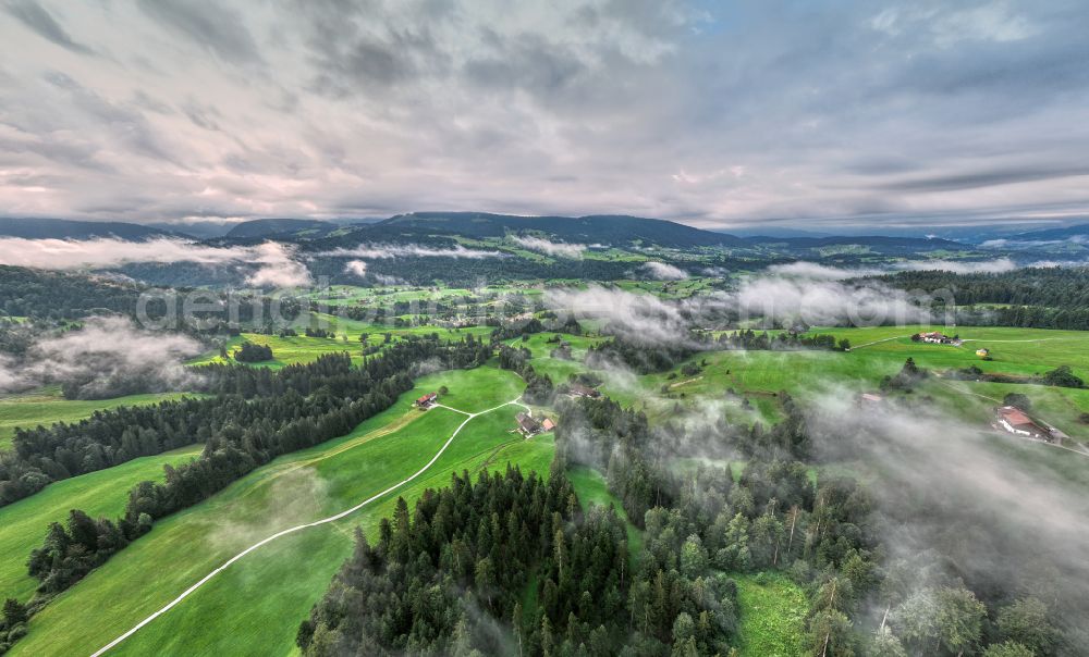 Sulzberg from the bird's eye view: Forest areas in with meadow landscape on street Dorf in Sulzberg in Vorarlberg, Austria