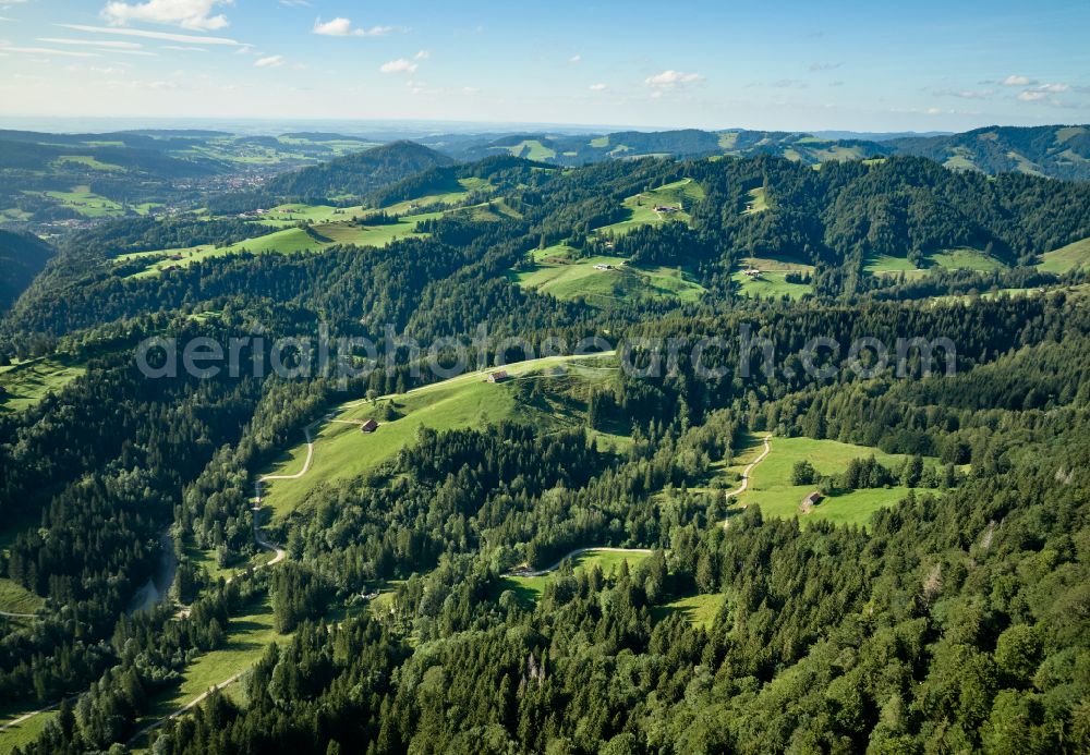 Sulzberg from the bird's eye view: Forest areas in with meadow landscape on street Dorf in Sulzberg in Vorarlberg, Austria