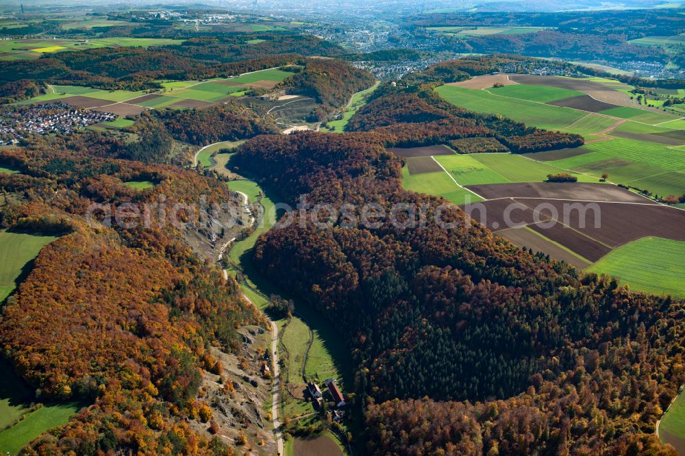 Aerial photograph Wippingen - Forest areas in in Wippingen in the state Baden-Wuerttemberg, Germany