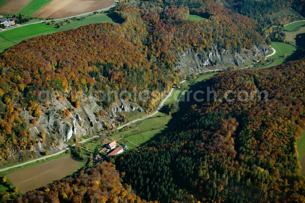 Wippingen from above - Forest areas in in Wippingen in the state Baden-Wuerttemberg, Germany