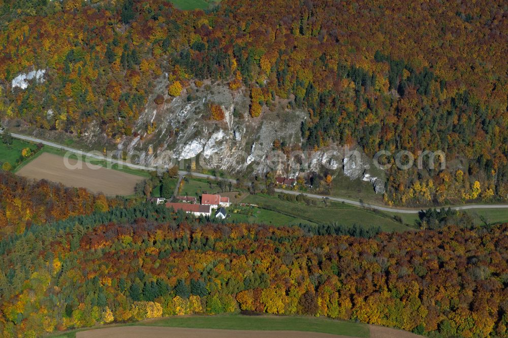 Wippingen from the bird's eye view: Forest areas in in Wippingen in the state Baden-Wuerttemberg, Germany