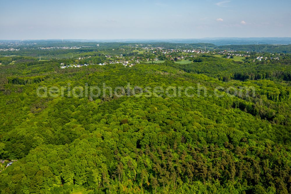 Witten from the bird's eye view: Forest areas in in Witten at Ruhrgebiet in the state North Rhine-Westphalia, Germany