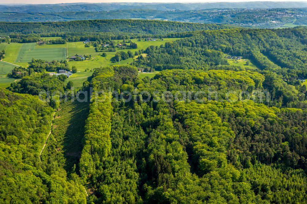 Aerial image Witten - Forest areas in in Witten at Ruhrgebiet in the state North Rhine-Westphalia, Germany