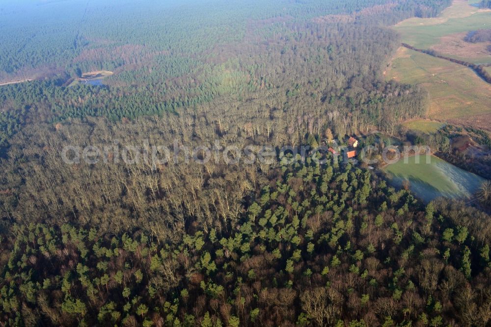 Friedrichswalde from the bird's eye view: Forest House Fridrichswalde in the forest area of Schorfheide on Wuckersee in Brandenburg