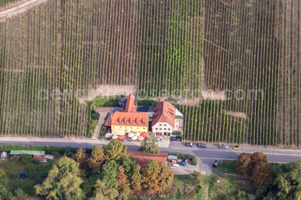 Aerial photograph Volkach - Open-air restaurant Gasthaus Mainaussicht Gifthuette in the district Escherndorf in Volkach in the state Bavaria, Germany