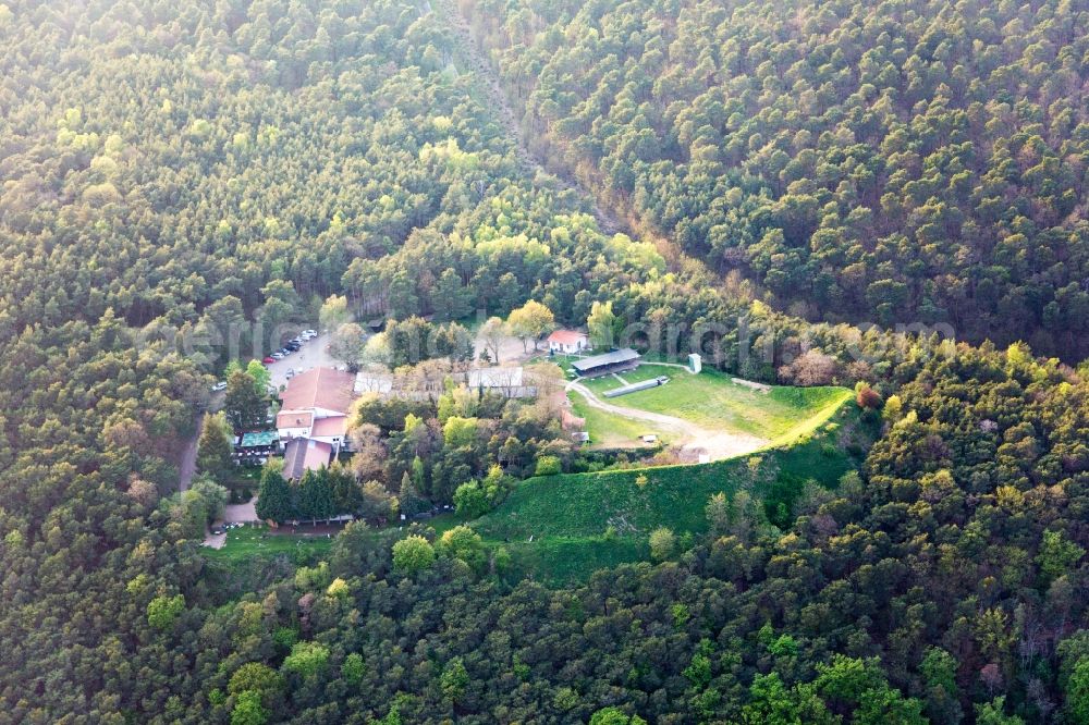 Bad Dürkheim from above - Open-air restaurant Waldgaststaette Schuetzenhaus in Bad Duerkheim in the state Rhineland-Palatinate, Germany