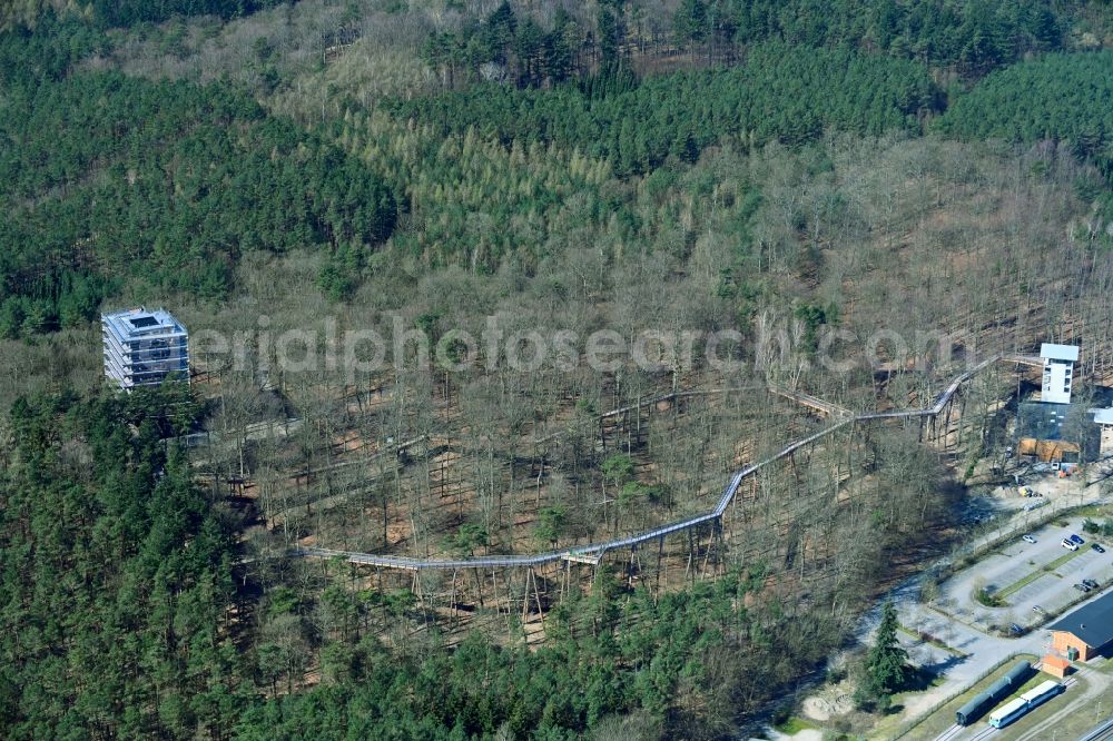 Heringsdorf from above - Leisure Centre - Amusement Park treetop path with observation tower in Heringsdorf on the island of Usedom in the state Mecklenburg - Western Pomerania, Germany