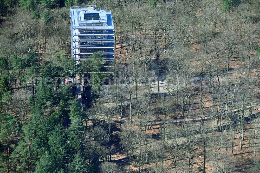 Heringsdorf from above - Leisure Centre - Amusement Park treetop path with observation tower in Heringsdorf on the island of Usedom in the state Mecklenburg - Western Pomerania, Germany