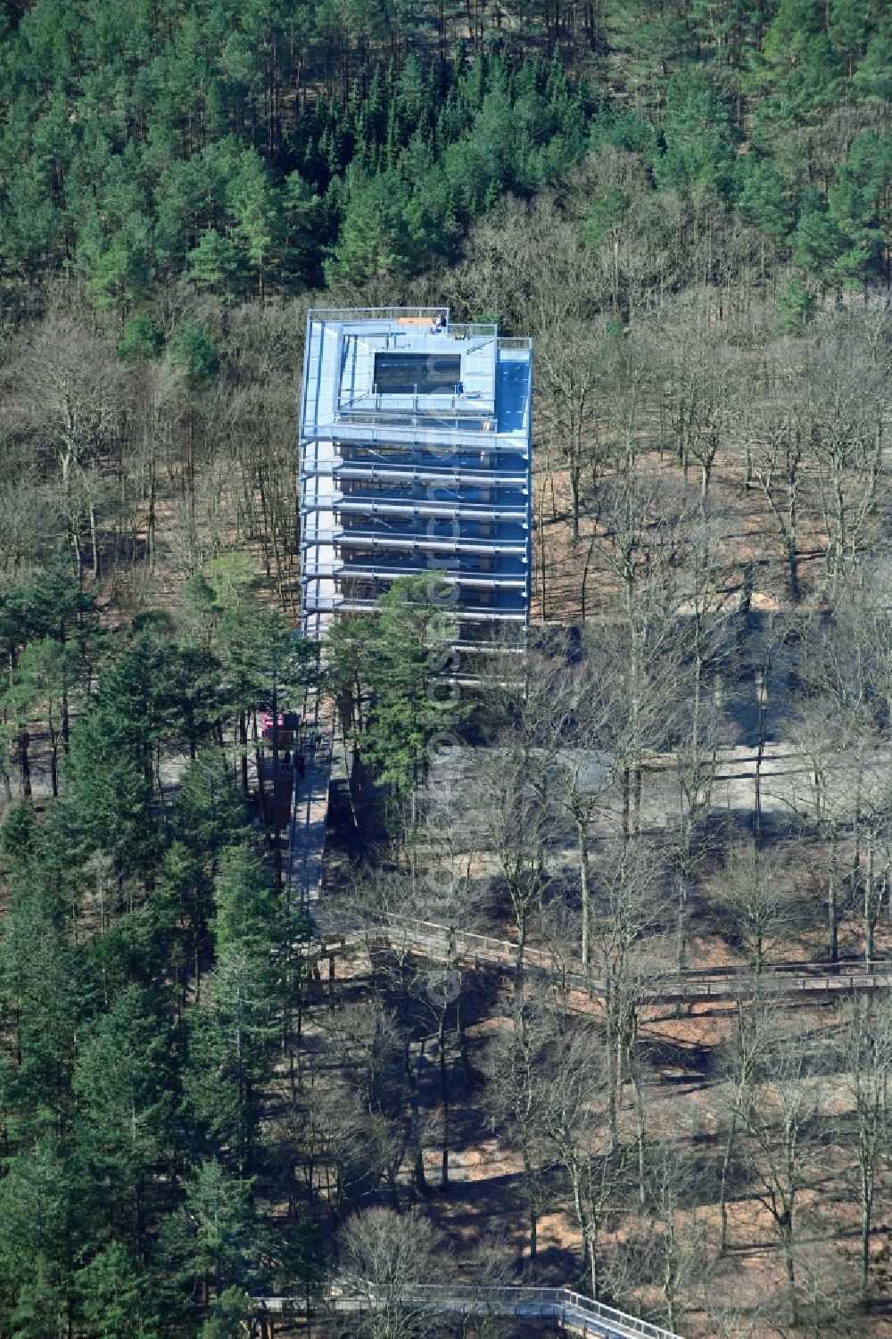 Heringsdorf from the bird's eye view: Leisure Centre - Amusement Park treetop path with observation tower in Heringsdorf on the island of Usedom in the state Mecklenburg - Western Pomerania, Germany