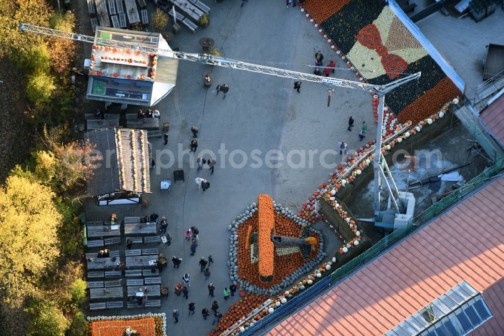 Klaistow from the bird's eye view: Leisure Centre - Amusement Park Spargel- und Erlebnishof Klaistow Glindower Strasse in Klaistow in the state Brandenburg