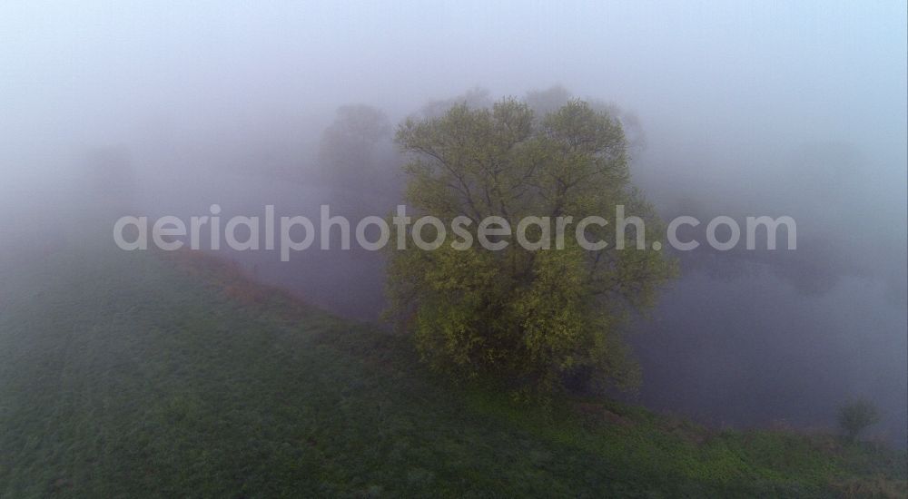 Olfen from the bird's eye view: Early fog landscape of meadows and fields at the Lippemäan der, lip loop of Lippeauen on the lip at Olfen in the state of North Rhine-Westphalia