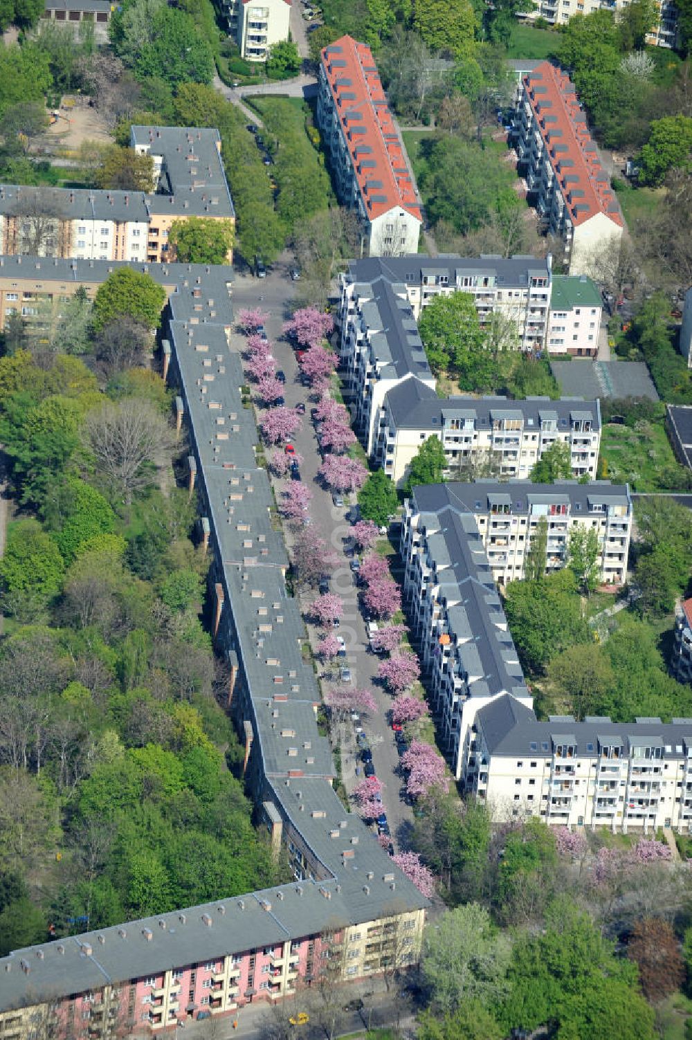 Berlin-Lichtenberg from the bird's eye view: Blick auf die Frühjahrsblüten- Baumallee an der Ribbecker Straße / Kraetkestraße in in Berlin-Lichtenberg. View of the spring flowers at the tree-lined street Ribbecker / Kraetkestraße in Berlin-Lichtenberg.