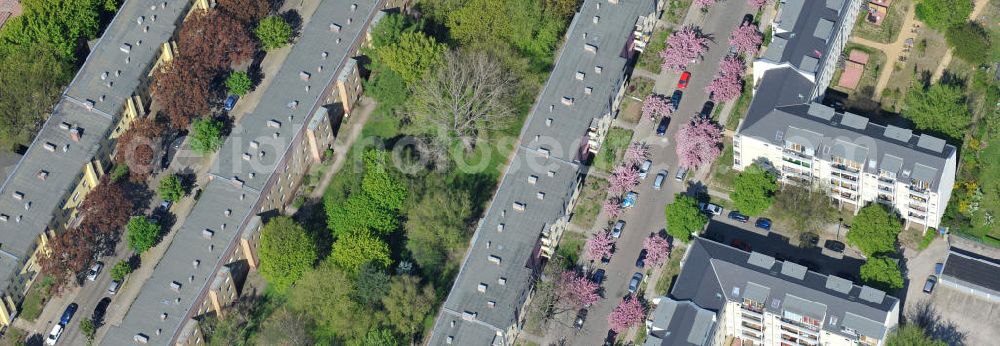 Berlin-Lichtenberg from the bird's eye view: Blick auf die Frühjahrsblüten- Baumallee an der Ribbecker Straße / Kraetkestraße in in Berlin-Lichtenberg. View of the spring flowers at the tree-lined street Ribbecker / Kraetkestraße in Berlin-Lichtenberg.