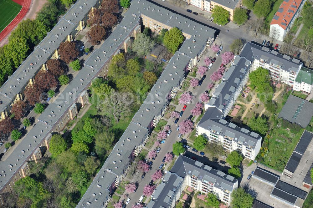 Aerial image Berlin-Lichtenberg - Blick auf die Frühjahrsblüten- Baumallee an der Ribbecker Straße / Kraetkestraße in in Berlin-Lichtenberg. View of the spring flowers at the tree-lined street Ribbecker / Kraetkestraße in Berlin-Lichtenberg.