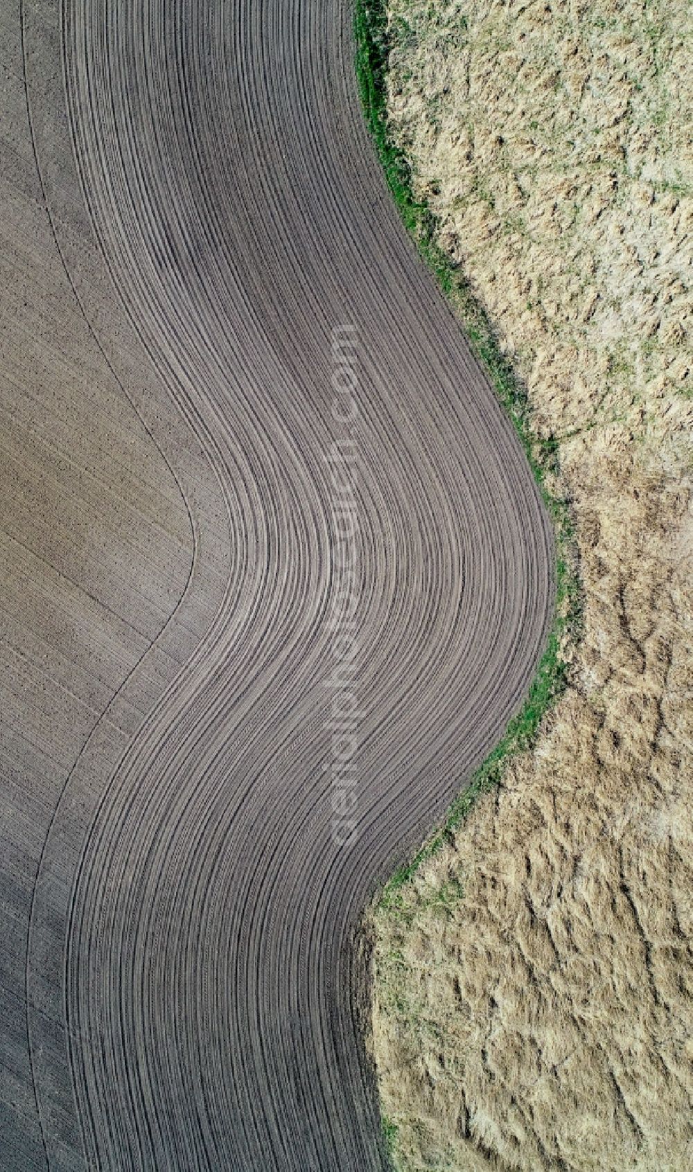 Jacobsdorf from the bird's eye view: Structures on agricultural fields in Jacobsdorf in the state Brandenburg, Germany