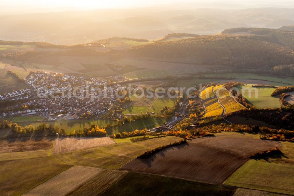 Karlstadt from the bird's eye view: Fields of wine cultivation landscape in the district Stetten in Karlstadt in the state Bavaria, Germany