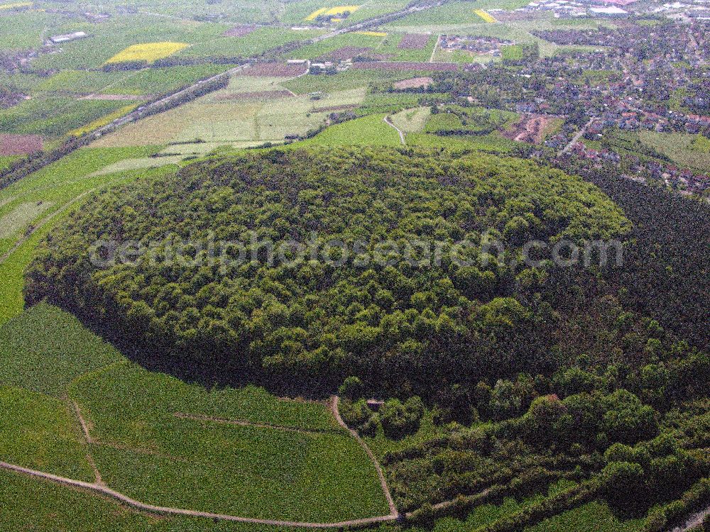 Aerial image Fulda - Blick auf das Stadtzentrum von 36037 Fulda / Hessen von Ost nach West mit dem Petersberg am nordöstlichen Stadtrand. Auf dem Petersberg befinden sich die ehemalige katholische Propsteikirche St. Peter und Steinkreuze.