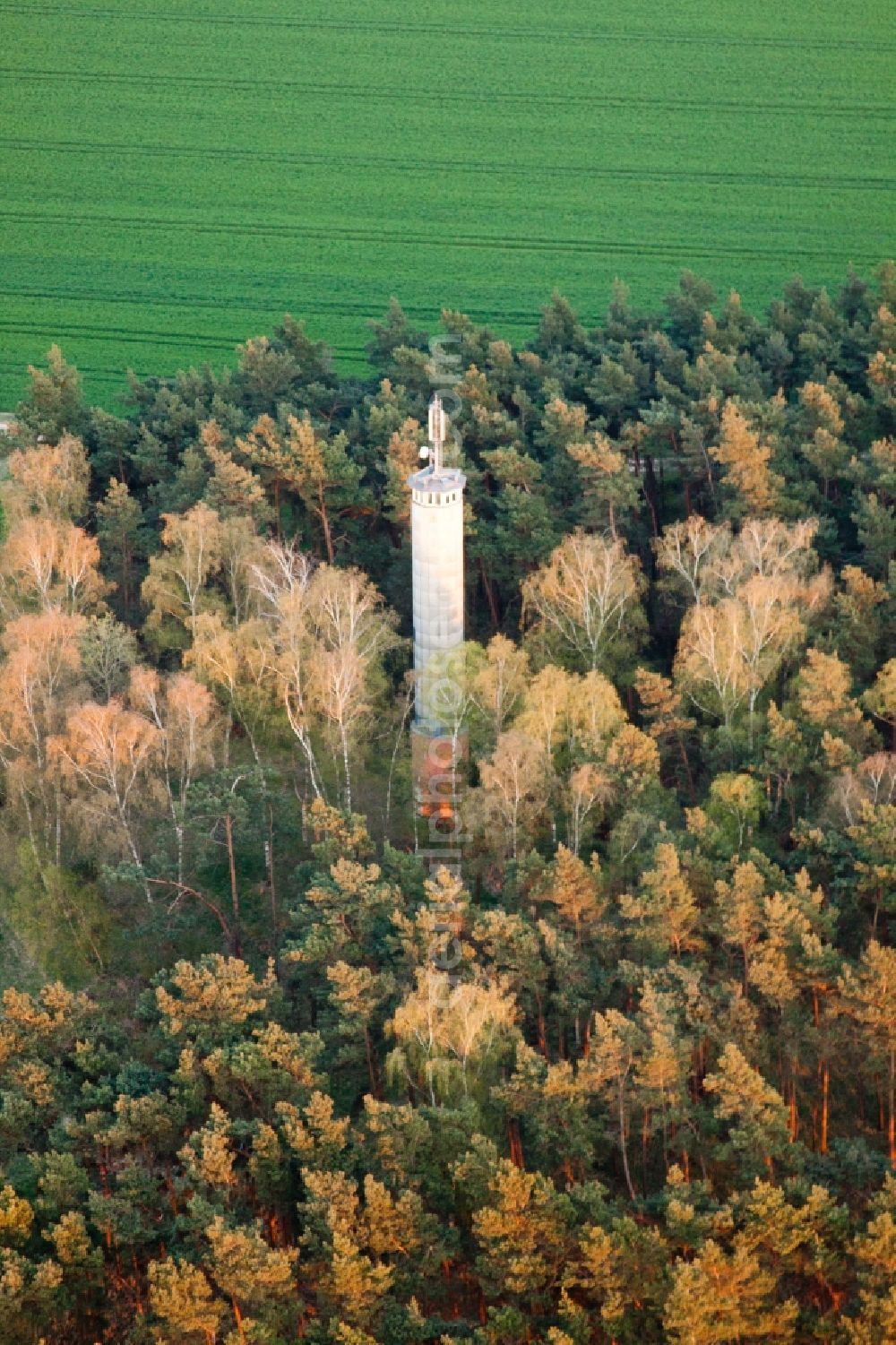 Aerial photograph Jüterbog - Radio tower and transmitter in a forest in Jueterbog in the state Brandenburg