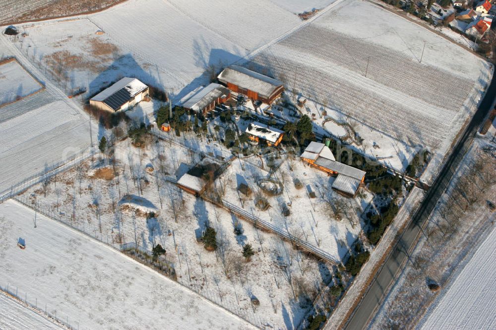 Engelstadt from above - Blick auf den verschneiten Garten- und Landschaftsbau an der Straße Außenliegende Gebäude in der Ortsgemeinde Engelstadt im Landkreis Mainz-Bingen in Rheinland-Pfalz. View to the wintery snowy gardening and landscaping company at the street Außenliegende Gebäude in the village Engelstadt in the administrative district Mainz-Bingen of Rhineland-Palatinate.