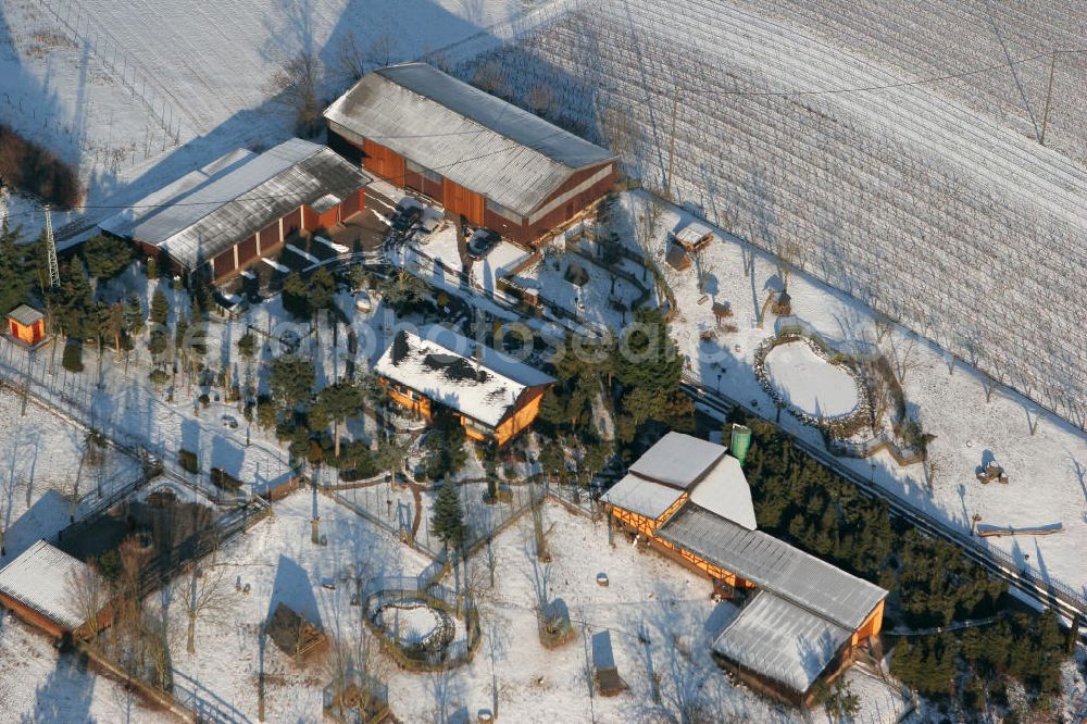 Engelstadt from the bird's eye view: Blick auf den verschneiten Garten- und Landschaftsbau an der Straße Außenliegende Gebäude in der Ortsgemeinde Engelstadt im Landkreis Mainz-Bingen in Rheinland-Pfalz. View to the wintery snowy gardening and landscaping company at the street Außenliegende Gebäude in the village Engelstadt in the administrative district Mainz-Bingen of Rhineland-Palatinate.