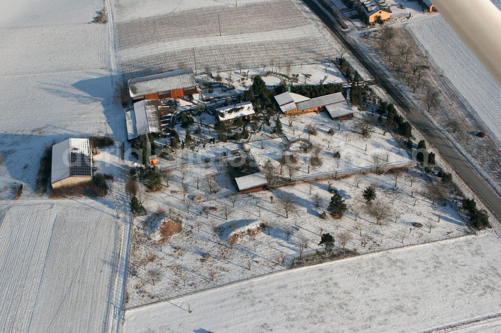 Aerial image Engelstadt - Blick auf den verschneiten Garten- und Landschaftsbau an der Straße Außenliegende Gebäude in der Ortsgemeinde Engelstadt im Landkreis Mainz-Bingen in Rheinland-Pfalz. View to the wintery snowy gardening and landscaping company at the street Außenliegende Gebäude in the village Engelstadt in the administrative district Mainz-Bingen of Rhineland-Palatinate.