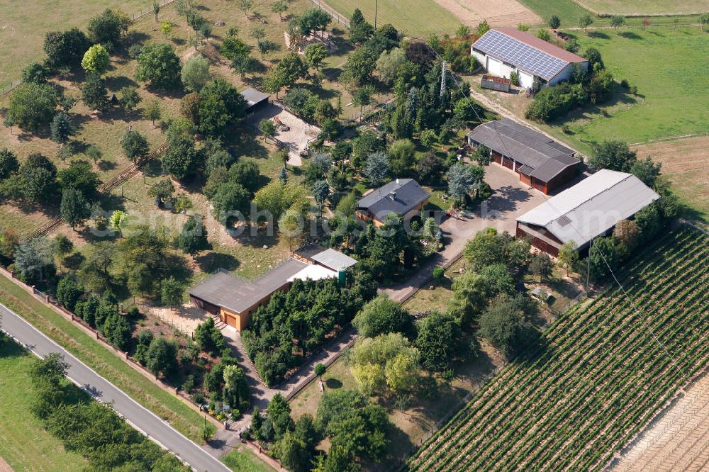 Engelstadt from the bird's eye view: Blick auf den Garten- und Landschaftsbau an der Straße Außenliegende Gebäude in der Ortsgemeinde Engelstadt im Landkreis Mainz-Bingen in Rheinland-Pfalz. View to the gardening and landscaping company at the street Außenliegende Gebäude in the village Engelstadt in the administrative district Mainz-Bingen of Rhineland-Palatinate.