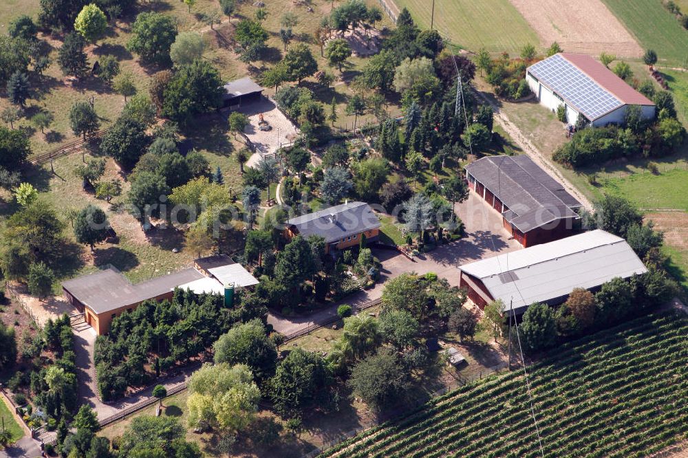 Aerial image Engelstadt - Blick auf den Garten- und Landschaftsbau an der Straße Außenliegende Gebäude in der Ortsgemeinde Engelstadt im Landkreis Mainz-Bingen in Rheinland-Pfalz. View to the gardening and landscaping company at the street Außenliegende Gebäude in the village Engelstadt in the administrative district Mainz-Bingen of Rhineland-Palatinate.