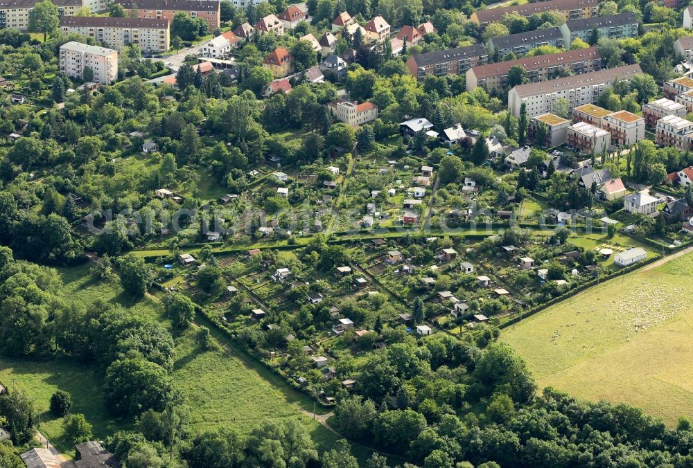 Aerial photograph Weimar - Gardens at the Kirschbachtal in Weimar in Thuringia