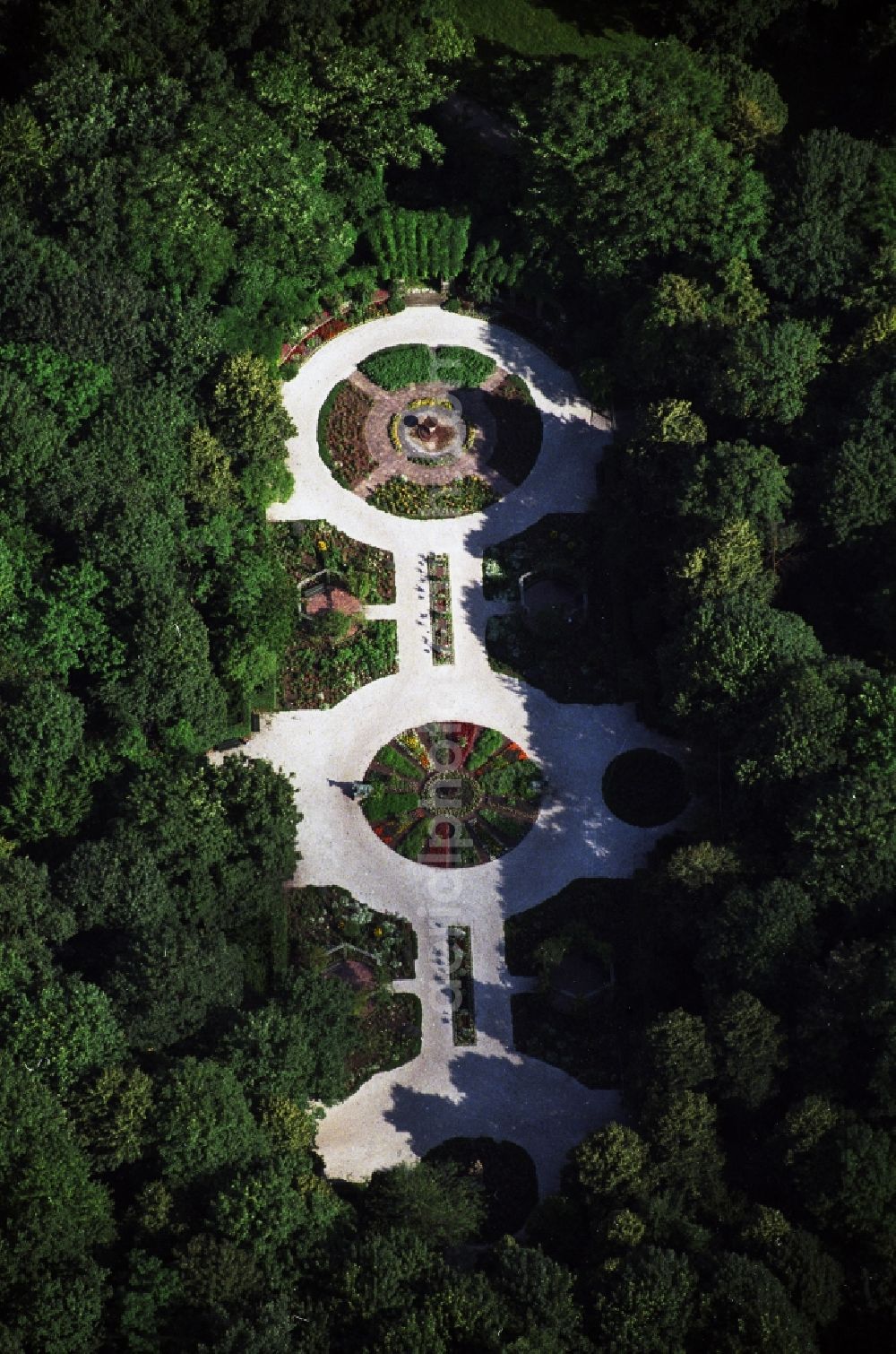 Berlin from above - Garden rose garden with fountain bowl in the Tiergarten of Berlin