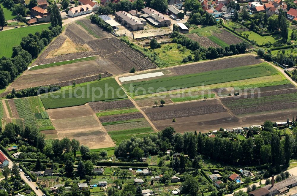 Aerial photograph Elxleben - In the valley of the river Hunte in Elxleben in Thuringia, there are areas for horticulture. The moist fertile soils in the Thuringian Basin are particularly suitable for horticulture