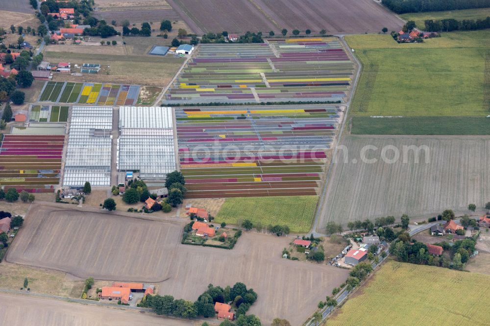 Schwarme from the bird's eye view: Garden center - center for gardening supplies Gartenbau Hintze in Schwarme in the state Lower Saxony, Germany