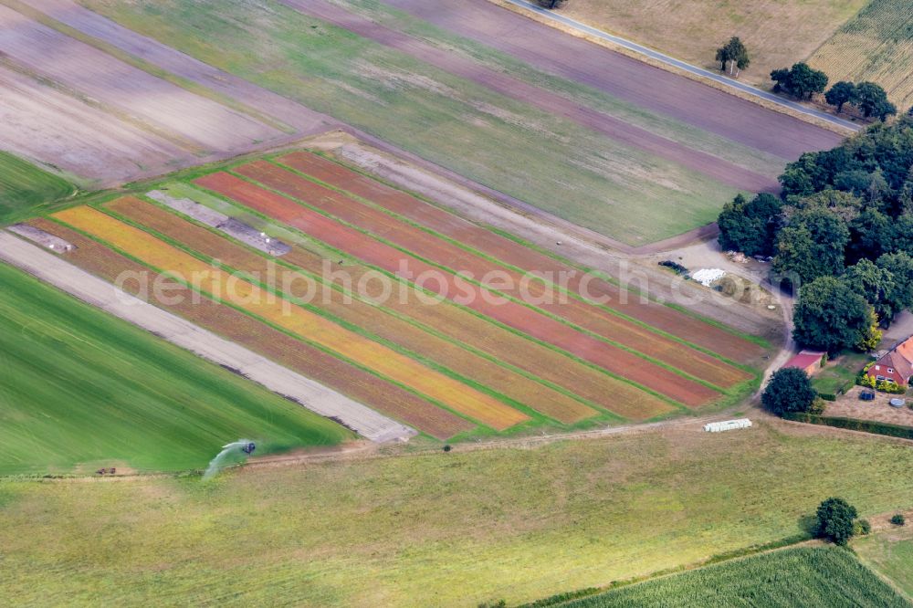 Groß Ippener from the bird's eye view: Garden center - center for gardening suppliesin Ortholz in Gross Ippener in the state Lower Saxony, Germany