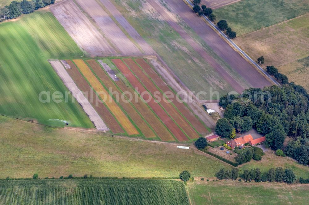 Aerial image Groß Ippener - Garden center - center for gardening suppliesin Ortholz in Gross Ippener in the state Lower Saxony, Germany