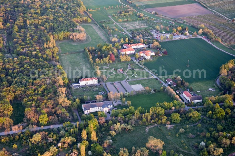 Neustadt an der Weinstraße from above - Building the retirement home Diakonissen-Mutterhaus Lachen in the district Lachen-Speyerdorf in Neustadt an der Weinstrasse in the state Rhineland-Palatinate, Germany