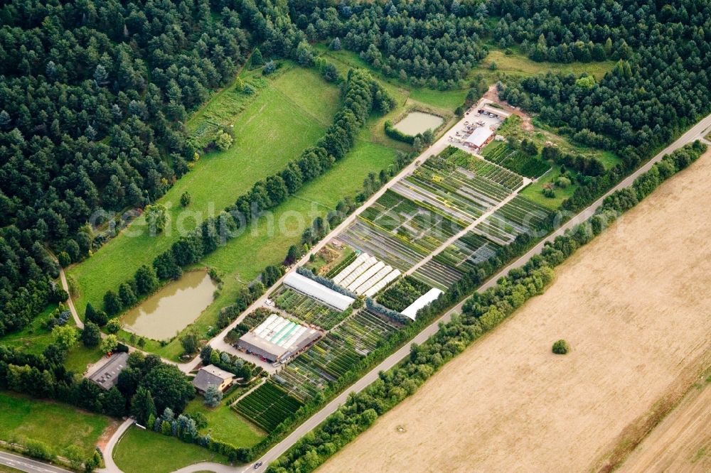 Aerial image Karlsbad - Building and greenhouses of Store plant market PflanzenOase Jansen with Rhododendron-parc in the district Langensteinbach in Karlsbad in the state Baden-Wuerttemberg