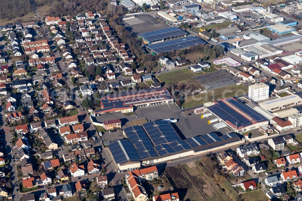 Aerial photograph Maxdorf - Building of the wholesale center Willi Sinn Fruechtegrosshandel GmbH in Maxdorf in the state Rhineland-Palatinate, Germany